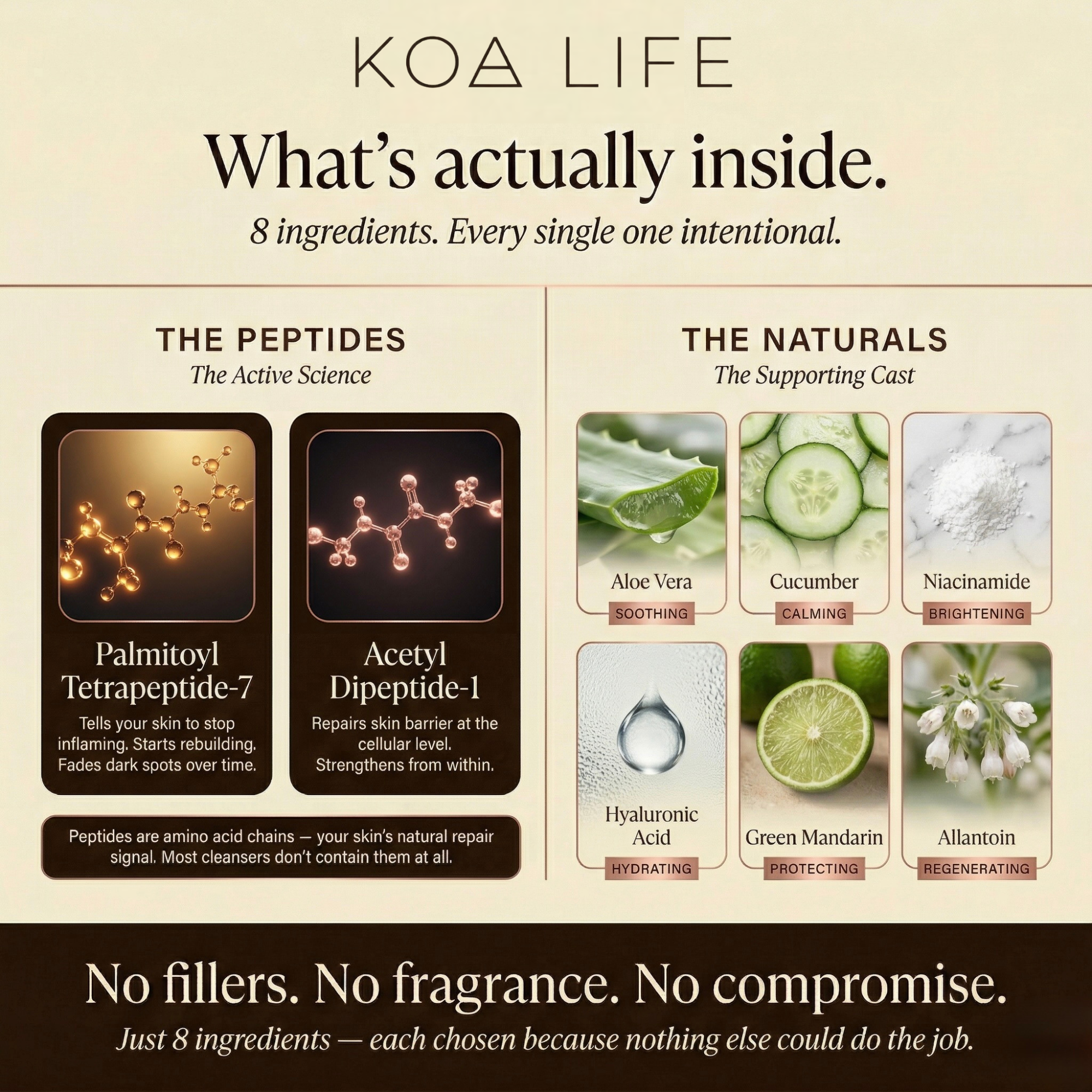 Peptide Brightening Cleanser — Clear Skin in 30 Days